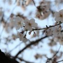 여의서로 이미지