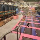 이어도참치 이미지