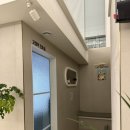 더블리스동물의료센터 이미지