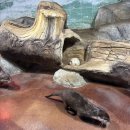 무주곤충박물관 | <무주 가볼만한 곳> 겨울방학 아이와 함께 가기 좋은 무주 반디랜드 곤충박물관 후기