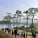 [대전/마산동] 대전 벚꽃철 대청호 야외웨딩 더리스 테라베오 웨딩 하객 후기🤍(주차/식사/ATM❌❌)