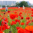 진사농장 이미지