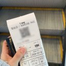 시내바이오 | 3월의 제주 여행 :: 김포공항 티웨이 항공 이용 후기ㅣ바이오정보 등록ㅣ제주 시내 흑돼지 맛집 우도근고기