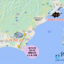 호텔C.C | 시즈오카 하마오카 골프, 미식, 힐링, 골프를 한 번에! 고품격 오마카세 품격 골프 리얼 후기 - 가온투어
