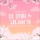 원피스솔루션