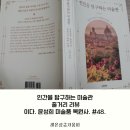 [소확성] 이탈리아 미술품 복원사가 들려주는 명화 속 휴머니즘 이야기 | 인간을 탐구하는 미술관. 줄거리 저자 이다. 미술품 복원사란?