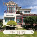 바람의말 | 제주 바람의말 숙소 일주일 살기 (feet. 리뷰애니웨어)