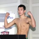 MMASTORY 복싱과 주짓수 이미지
