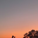 통영관광개발공사(통영수산과학관) 이미지