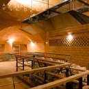 수목원 생활온천 이미지