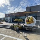 까페미소 | [경북카페/영주카페] 고구마빵이 맛있는 카페 미소 머금고 방문 후기