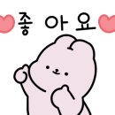 달쥬(DALJU) 이미지