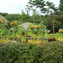 삼천 2 삼경노인회 | 오인교의 전라도누정기행-담양 삼경재(三鏡齋)