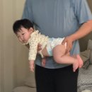 뽀작뽀작 | 뽀작뽀작 문센 후기🤍