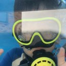 젠틀리조트 이미지