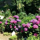 연임농장 이미지