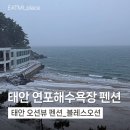블레스짐 | 태안 연포해수욕장 도보 3초 블레스오션 펜션 후기 및 예약팁