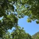 자연을닮은사람들 | 완주 소양밥집 자연을닮은사람들, 대가족 식사 다녀온 현실후기