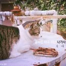 달맞이 찻집 이미지