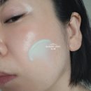 이혜영피부과화장품 | 인셀덤구매방법 부작용후기 엑티브크림EX