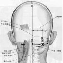 GB-20 風池(풍지) 이미지