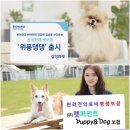 위풍댕댕 네이버블로그