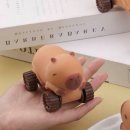 일등 자동차 이미지