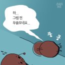 고기가 이미지