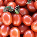 사비농장 이미지