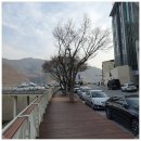오성통닭자판기 | [충북 단양군 체험] 구경시장 -#직접체험 단양 명소 전통시장 솔직 리뷰 후기