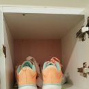 스포웰짐 월곡점 이미지