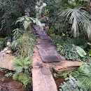 8/10(일) 오후, 식물원카페 모임 안내(마감) 이미지