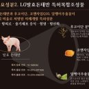 하나미 네이버블로그