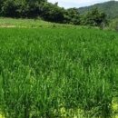 구곡1리 다목적회관 이미지