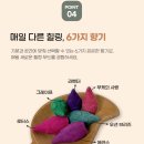 오션타이아로마 | [인센스 추천제품] “백플로우 인센스 콘” 타이 아로마향초 인센스 구매 솔직 후기!