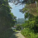 낙원펜션 이미지