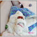 셀럽몽 이미지