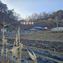 송학부동산공인중개사사무소 이미지