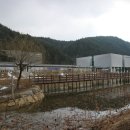 성보지점