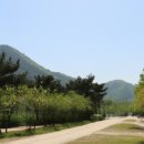 장호관광지 이미지