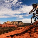 strong GYM FIT 이미지