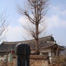 김육불망비 이미지