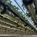 옥정농장 이미지