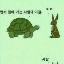 토끼와거북이