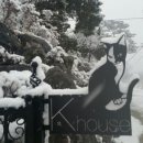 건행펜션 이미지