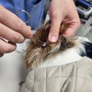 쭈니동물병원 이미지