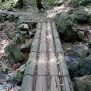 명품꽃마을 이미지