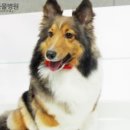 하누동물병원 이미지