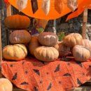 동산낚시터 이미지