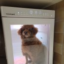 풀스테이스테이펫홍천 이미지